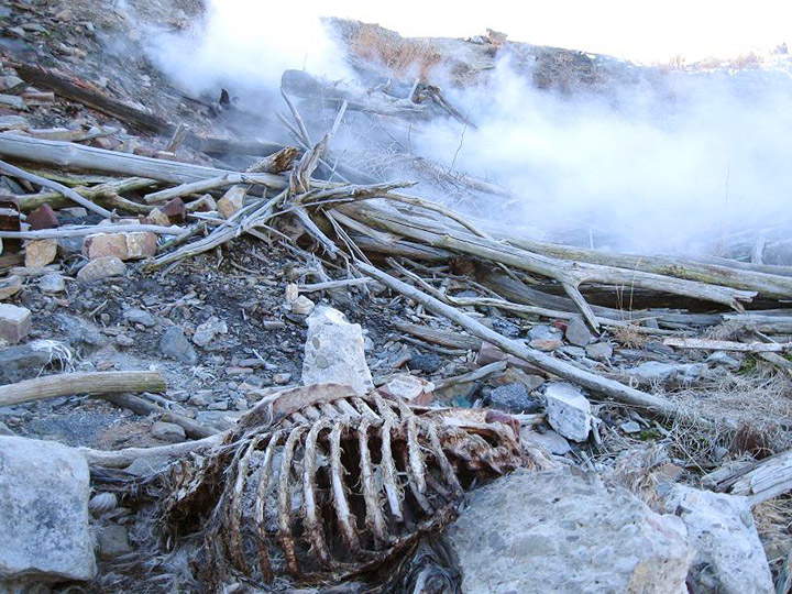 centralia-mine-fire-skeleton.jpg